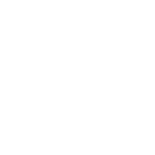 z logo